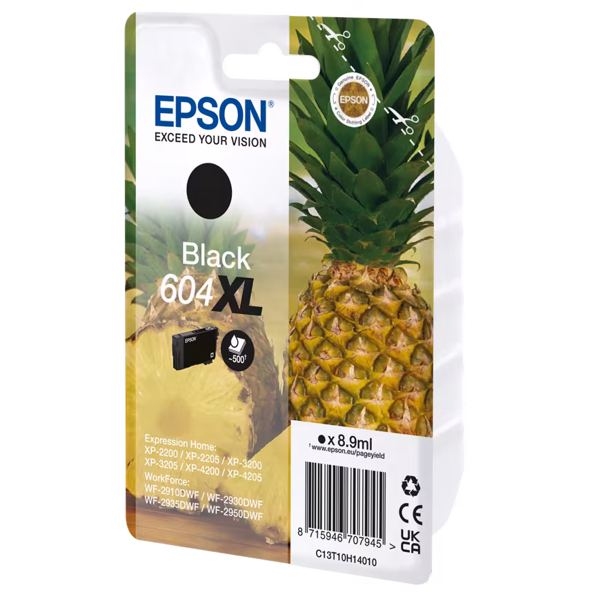 Epson Singlepack Ink Nr. 604XL black
