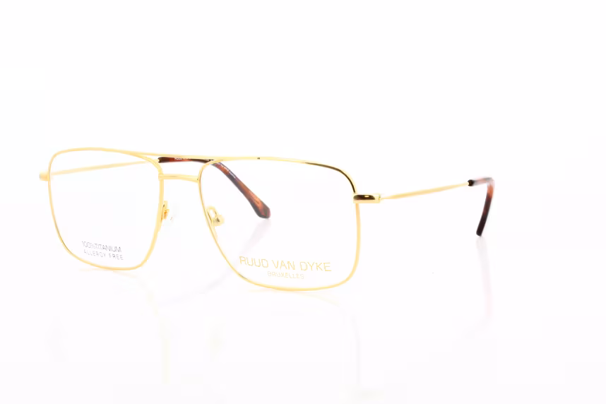 Ruud van Dyke RVD 1170T-1H Herrenbrille Titan Doppelsteg