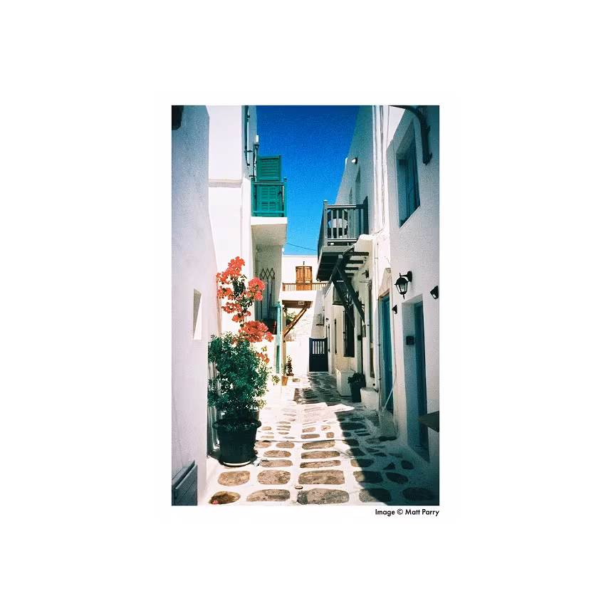 Harman Phoenix Farbnegativfilm 200 35mm f. 36 Aufnahmen