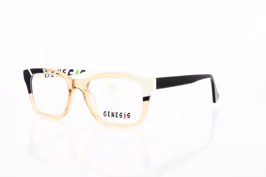 GV 1524 C4 Damenbrille Kunstoff