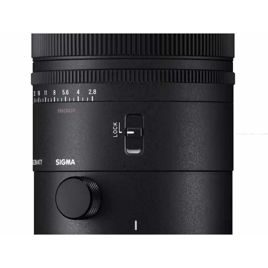 Sigma 70-200/2,8 DG DN OS SONY F/SE