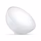 Philips Hue Go tragbare Tischleuchte 300lm BT weiß