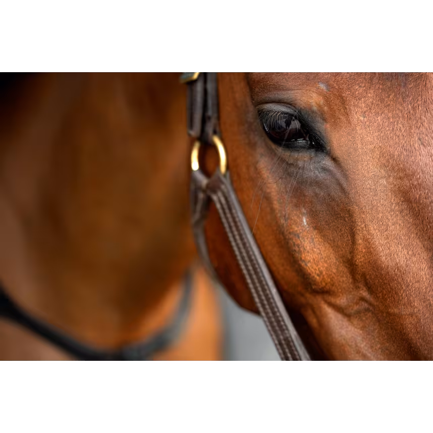 Tamron 70-180/2,8 Di III VXD G2 Sony E-Mount