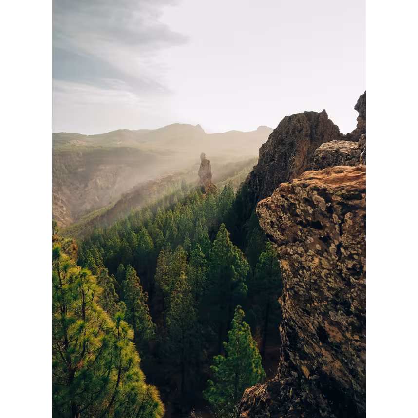 OM System OM-5 II Gehäuse schwarz