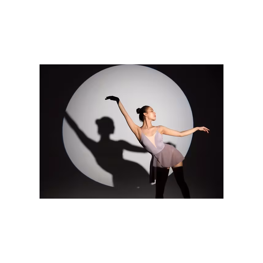 Godox Spotlight Attachment VSA26 Kit 