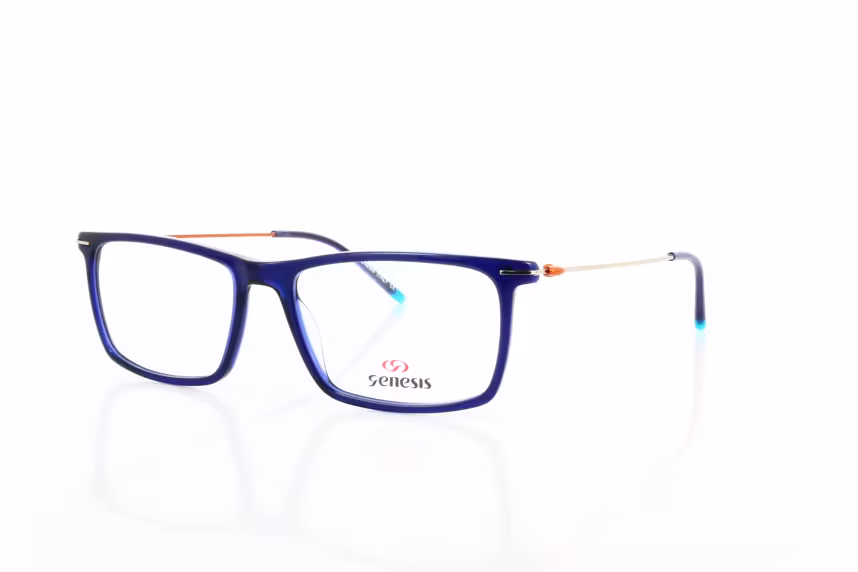 5016 C1 Herrenbrille Kunststoff