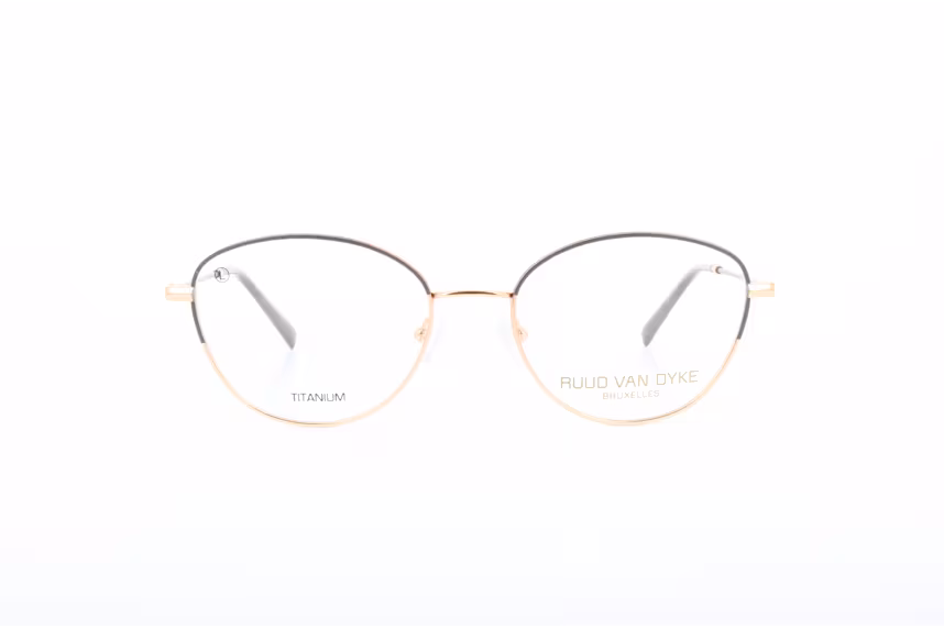 Ruud van Dyke 1378TL-2H
