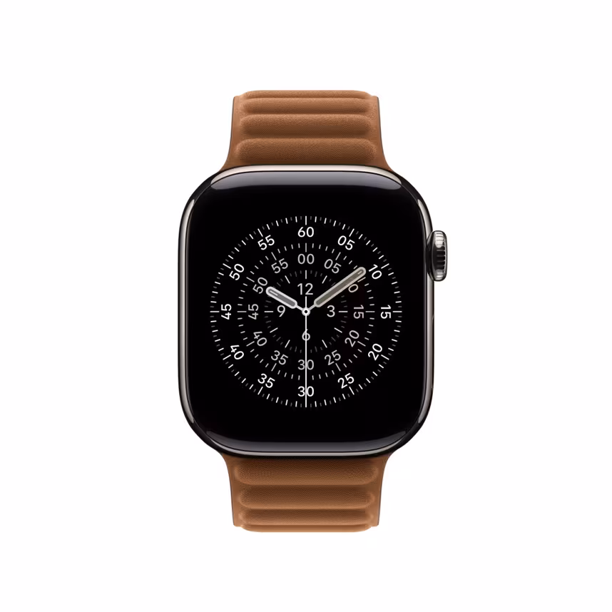 Apple Watch 46mm Caramel Magnetic Link M/L