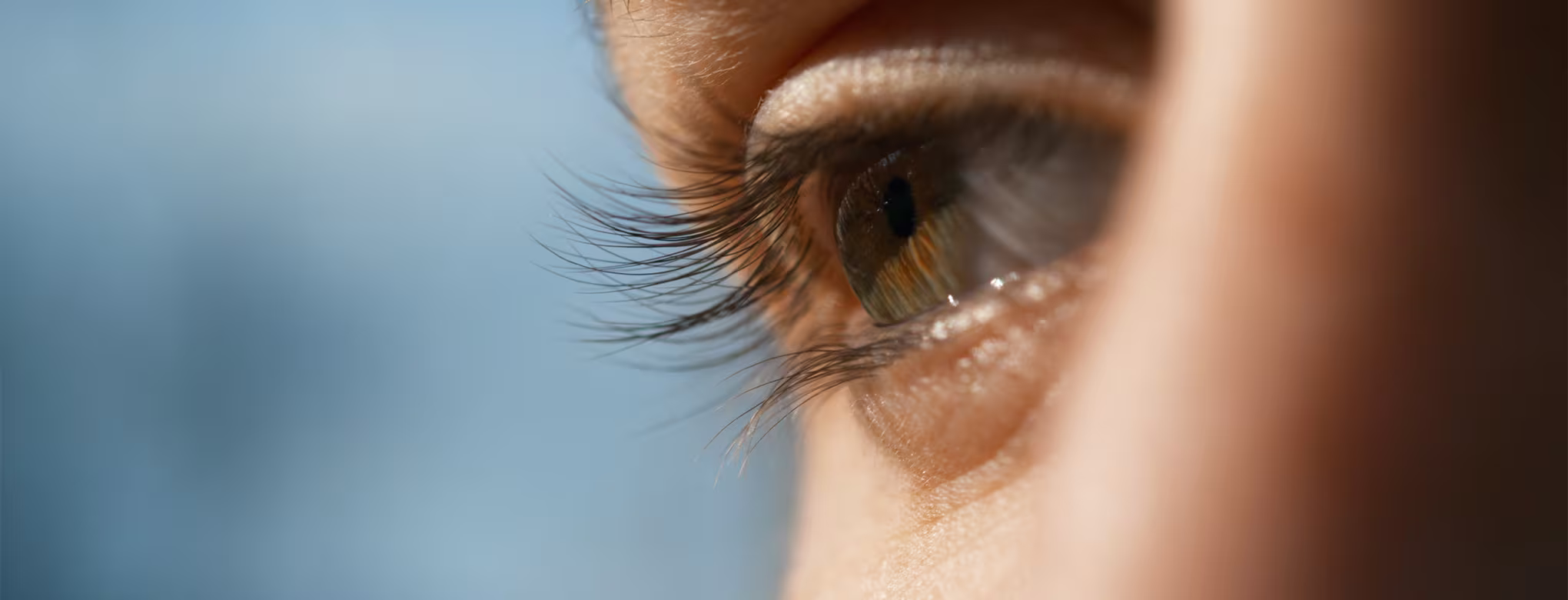 "Web_2026_10_OP_Welttag_Sehen_SSS_desktop_2040x780px"