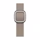 Apple Watch 41mm Modern Buckle M tan