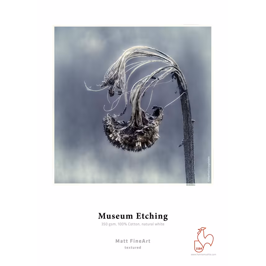 Hahnemühle Museum Etching 350gsm A4 25 Blatt 