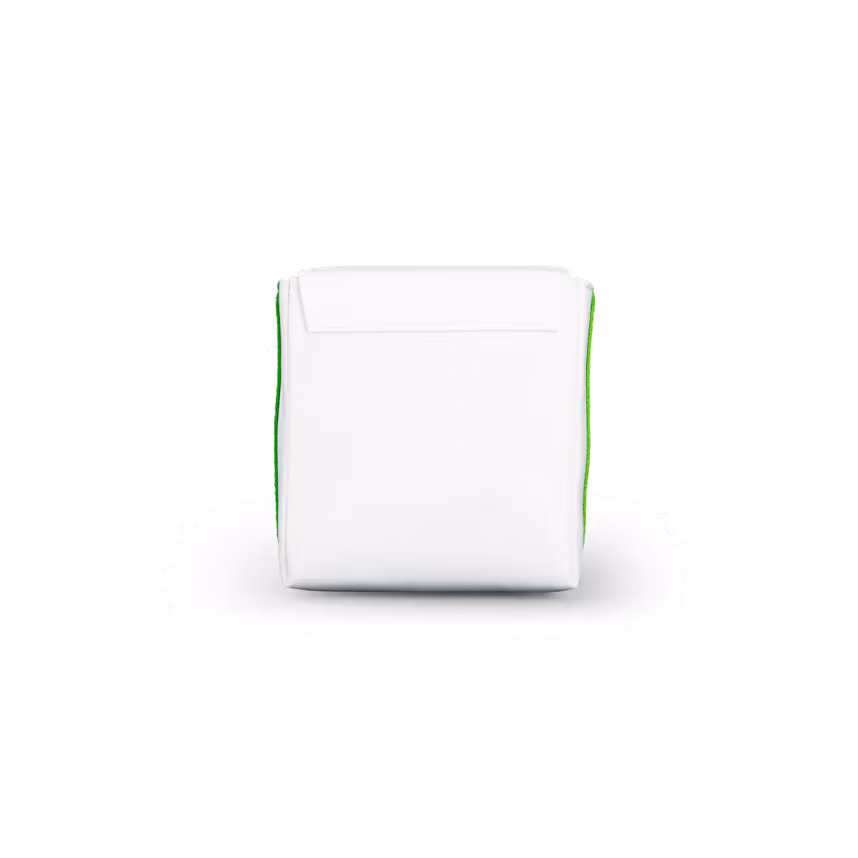 Polaroid Now Bag Weiss/Grün