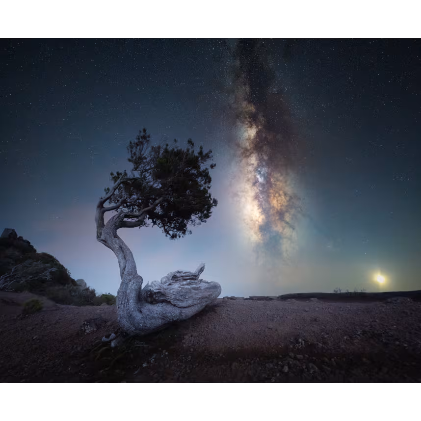 Canon RF 14/1,4L VCM