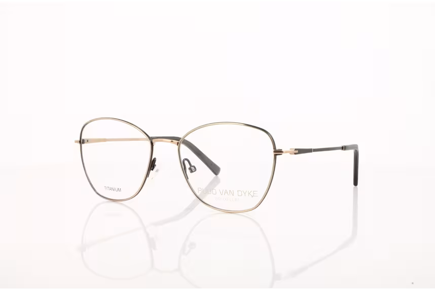 Ruud van Dyke RVD1313T-1H