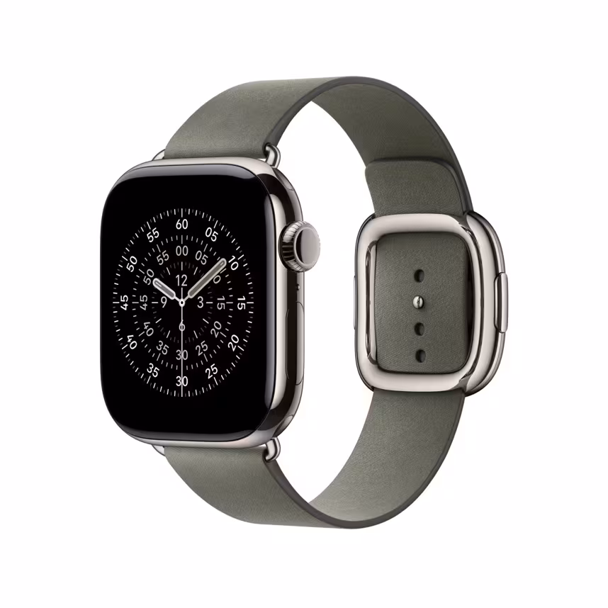 Apple Watch 42mm Sage Modern Buckle S
