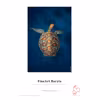 Hahnemühle FineArt Baryta 325gsm 10x15cm 30 Blatt 