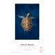Hahnemühle FineArt Baryta 325gsm 10x15cm 30 Blatt 